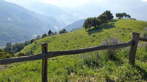 5 conseils pour sélectionner un paysagiste de qualité dans les alpes-maritimes