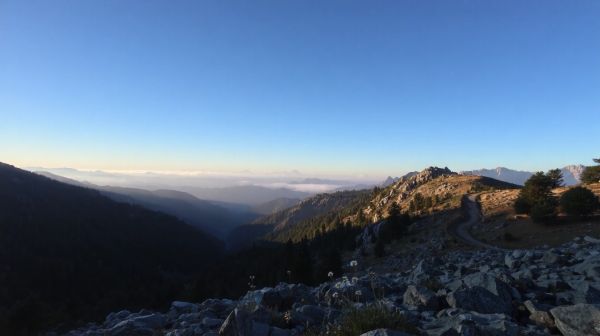 Top 5 peintures recommandées pour vos projets en Alpes-Maritimes